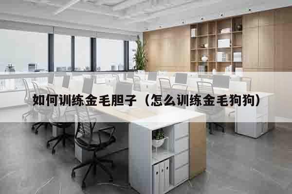 如何训练金毛胆子（怎么训练金毛狗狗）