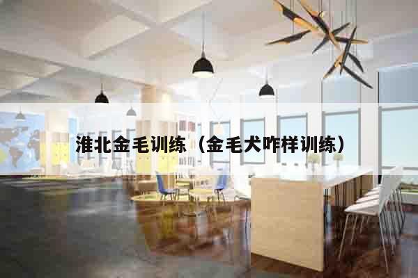 淮北金毛训练（金毛犬咋样训练）