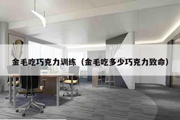 金毛吃巧克力训练（金毛吃多少巧克力致命）