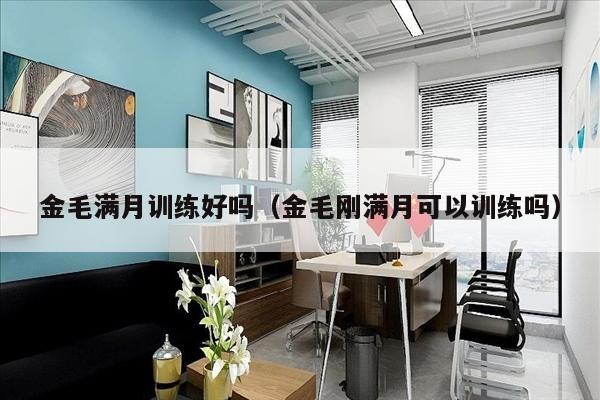 金毛满月训练好吗（金毛刚满月可以训练吗）