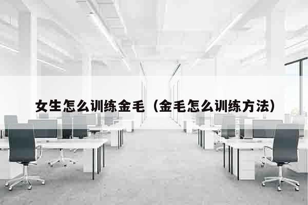 女生怎么训练金毛（金毛怎么训练方法）