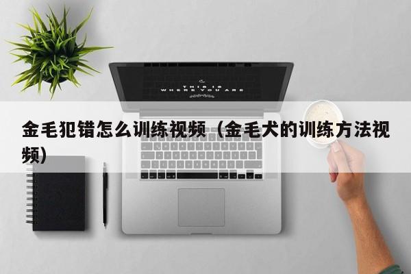 金毛犯错怎么训练视频（金毛犬的训练方法视频）