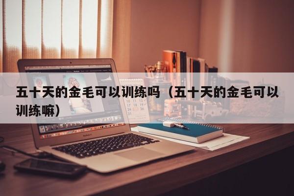 五十天的金毛可以训练吗（五十天的金毛可以训练嘛）