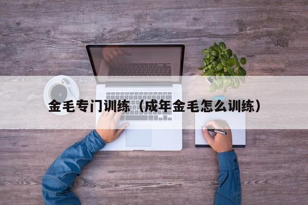 金毛专门训练（成年金毛怎么训练）