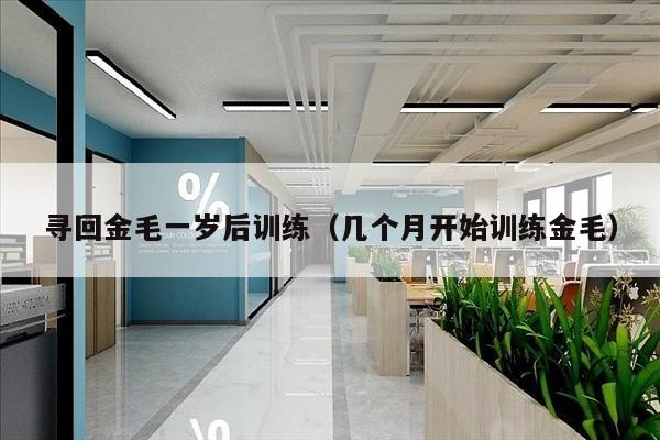 寻回金毛一岁后训练（几个月开始训练金毛）