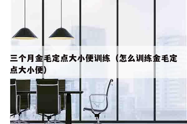 三个月金毛定点大小便训练（怎么训练金毛定点大小便）