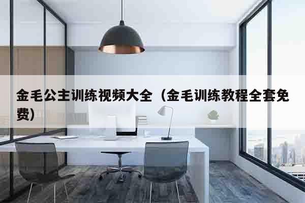 金毛公主训练视频大全（金毛训练教程全套免费）