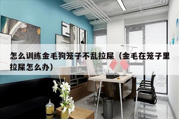 怎么训练金毛狗笼子不乱拉屎（金毛在笼子里拉屎怎么办）