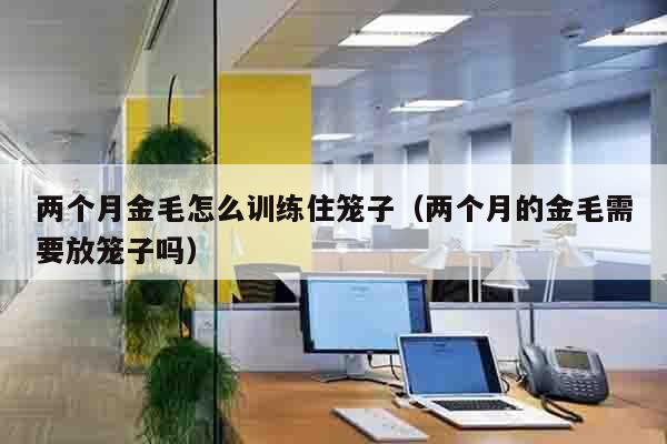 两个月金毛怎么训练住笼子（两个月的金毛需要放笼子吗）