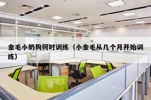 金毛小奶狗何时训练（小金毛从几个月开始训练）