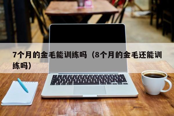 7个月的金毛能训练吗（8个月的金毛还能训练吗）