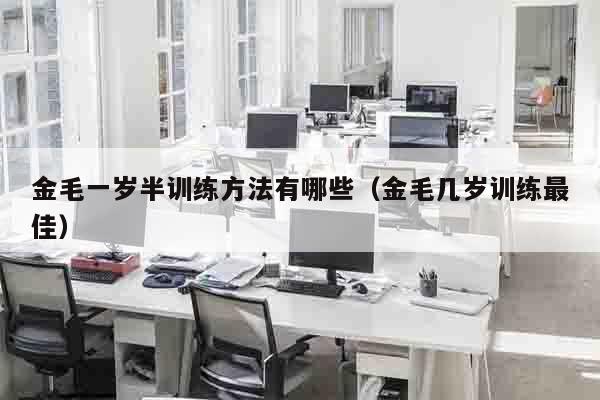 金毛一岁半训练方法有哪些（金毛几岁训练最佳）