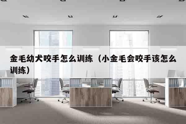 金毛幼犬咬手怎么训练（小金毛会咬手该怎么训练）