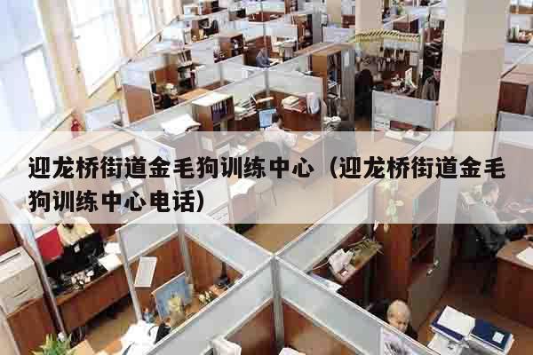 迎龙桥街道金毛狗训练中心（迎龙桥街道金毛狗训练中心电话）