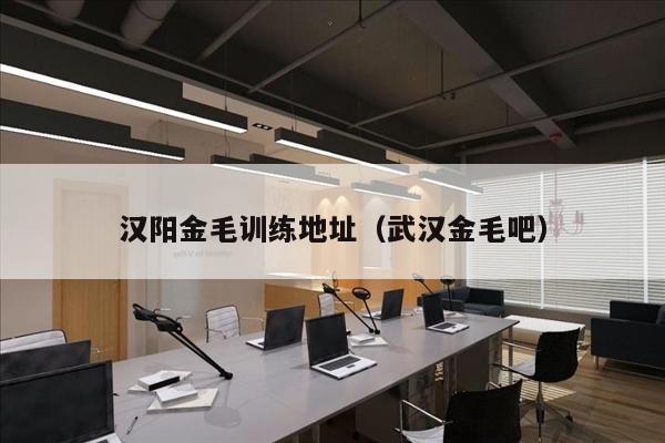 汉阳金毛训练地址（武汉金毛吧）