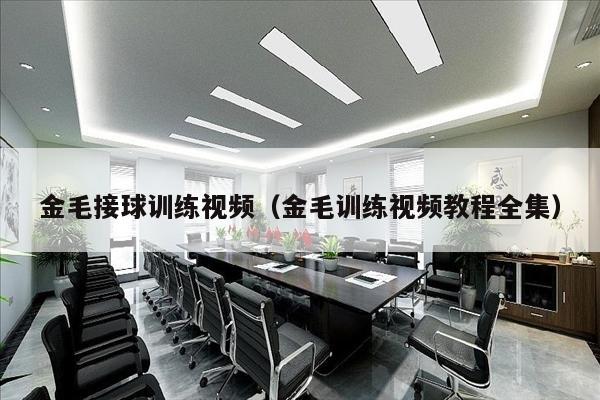 金毛接球训练视频（金毛训练视频教程全集）
