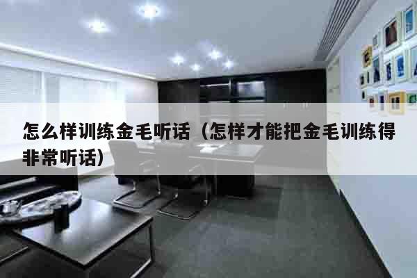 怎么样训练金毛听话（怎样才能把金毛训练得非常听话）