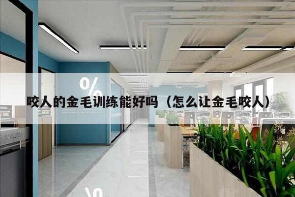 咬人的金毛训练能好吗（怎么让金毛咬人）