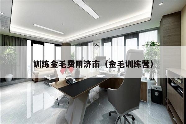 训练金毛费用济南（金毛训练营）