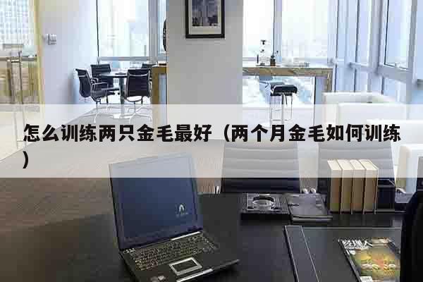 怎么训练两只金毛最好（两个月金毛如何训练）