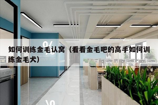 如何训练金毛认窝（看看金毛吧的高手如何训练金毛犬）