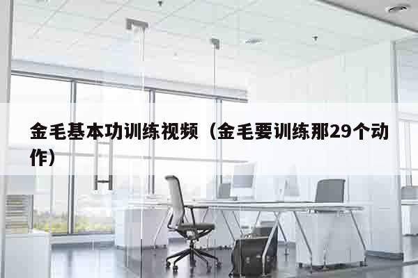 金毛基本功训练视频（金毛要训练那29个动作）