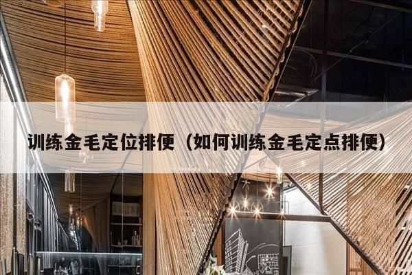 训练金毛定位排便（如何训练金毛定点排便）