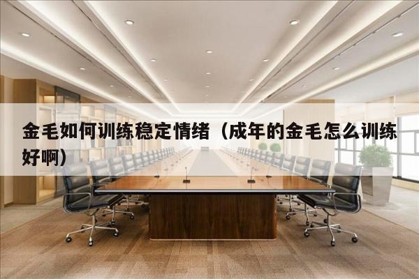 金毛如何训练稳定情绪（成年的金毛怎么训练好啊）