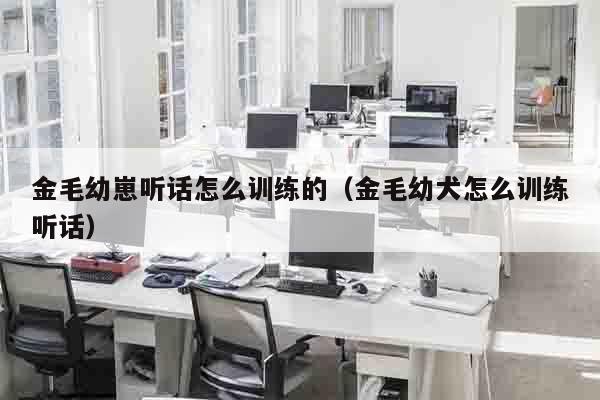 金毛幼崽听话怎么训练的（金毛幼犬怎么训练听话）