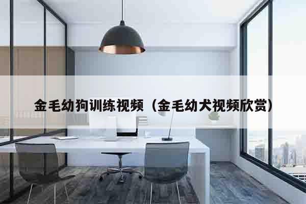金毛幼狗训练视频（金毛幼犬视频欣赏）