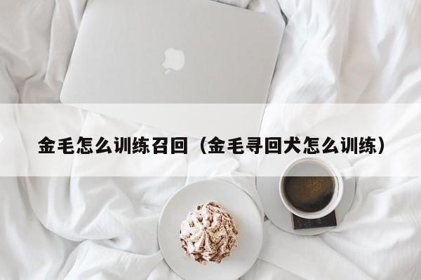 金毛怎么训练召回（金毛寻回犬怎么训练）
