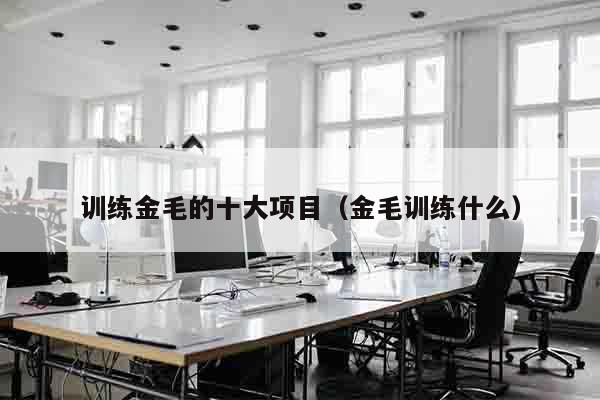 训练金毛的十大项目（金毛训练什么）