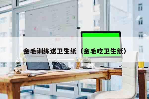 金毛训练送卫生纸（金毛吃卫生纸）