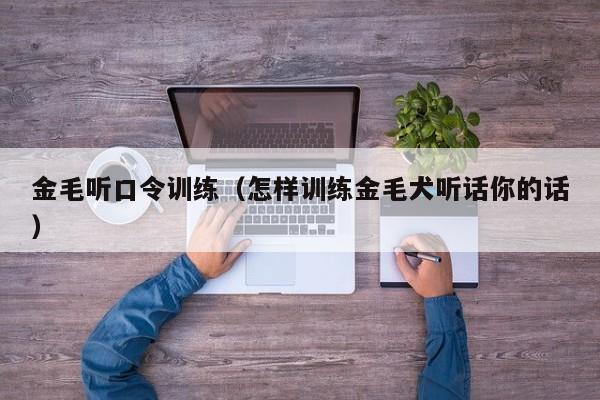 金毛听口令训练（怎样训练金毛犬听话你的话）