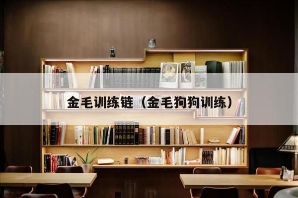 金毛训练链（金毛狗狗训练）