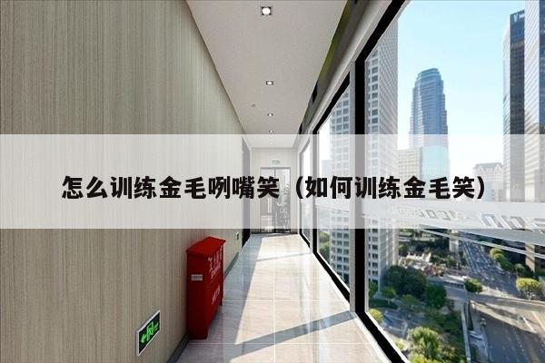 怎么训练金毛咧嘴笑（如何训练金毛笑）
