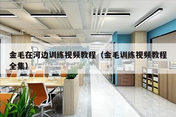金毛在河边训练视频教程（金毛训练视频教程全集）