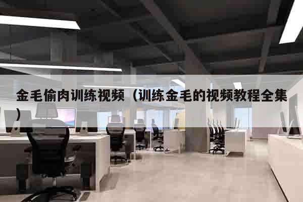 金毛偷肉训练视频（训练金毛的视频教程全集）