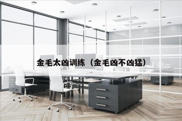 金毛太凶训练（金毛凶不凶猛）