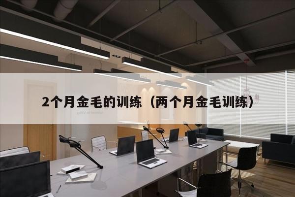 2个月金毛的训练（两个月金毛训练）