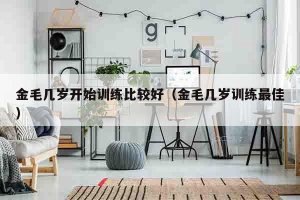 金毛几岁开始训练比较好（金毛几岁训练最佳）