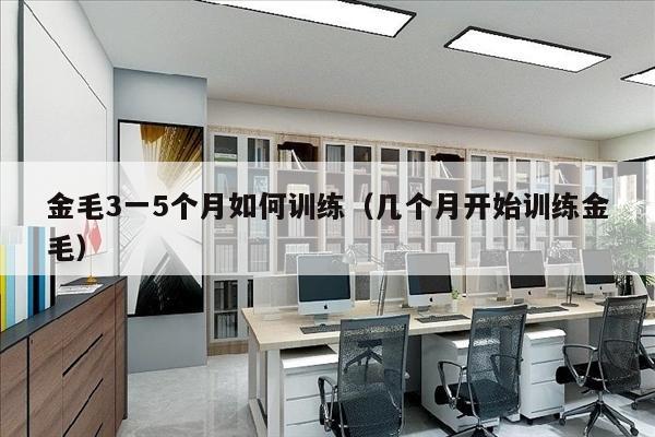 金毛3一5个月如何训练（几个月开始训练金毛）