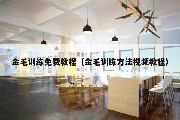 金毛训练免费教程（金毛训练方法视频教程）