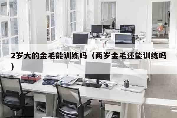 2岁大的金毛能训练吗（两岁金毛还能训练吗）