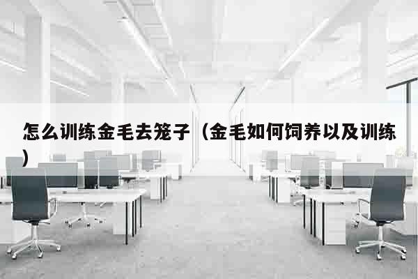 怎么训练金毛去笼子（金毛如何饲养以及训练）