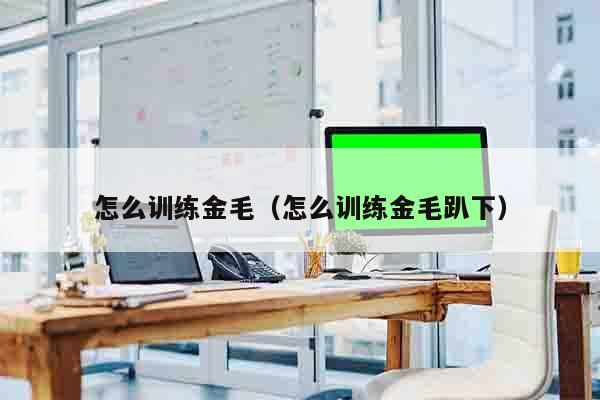 怎么训练金毛（怎么训练金毛趴下）