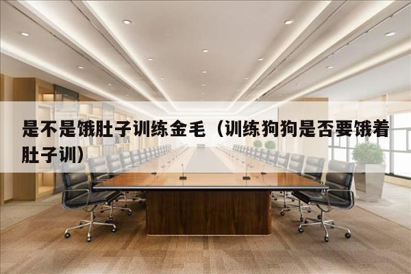 是不是饿肚子训练金毛（训练狗狗是否要饿着肚子训）