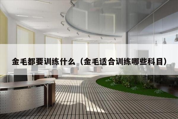 金毛都要训练什么（金毛适合训练哪些科目）