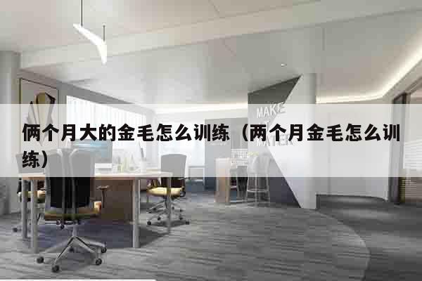 俩个月大的金毛怎么训练（两个月金毛怎么训练）