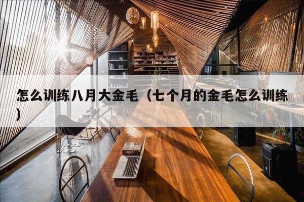 怎么训练八月大金毛（七个月的金毛怎么训练）